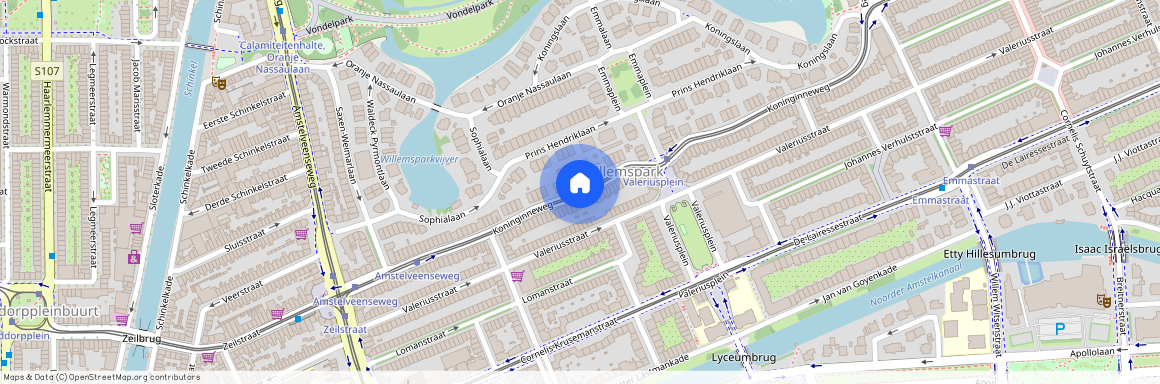 Willemspark, 1075 CN, Koninginneweg, Amsterdam