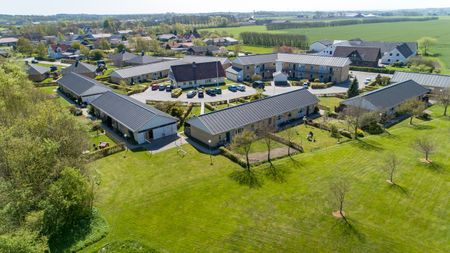 Gråbølle - Photo 5