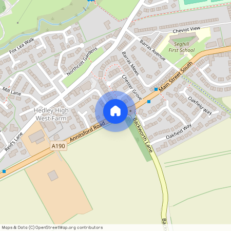 Main Street South, Seghill, NE23