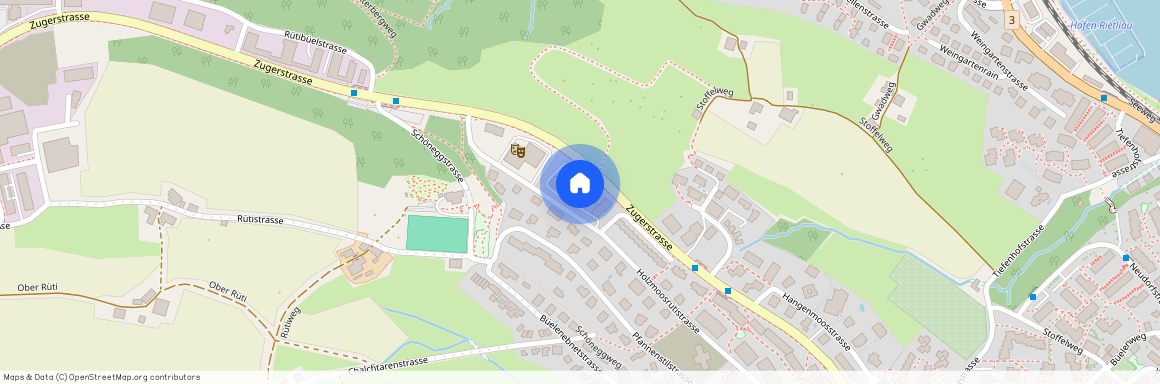 Holzmoosrütistrasse 44 a, 8820 Wädenswil