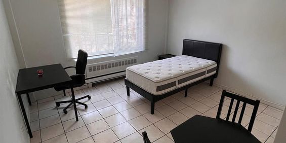 Studio - Montréal - $1,075 /mo - Photo 3