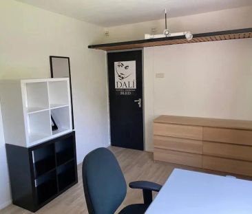 Chambre Campuslaan, Enschede - À Louer - Foto 4