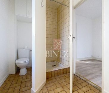 Location Appartement 2 pièces 36m² SCHILTIGHEIM 67300 - Photo 3
