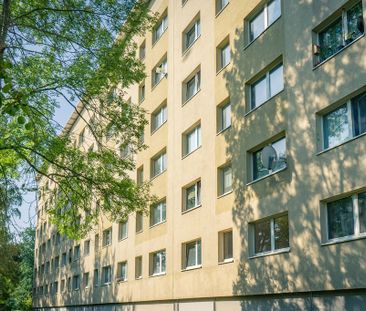 2-Raum-Erdgeschosswohnung mit offener Küche - Photo 1