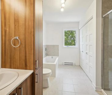67 Rue Dupuis (Gatineau) Super Appartement 2 Chambres - Photo 3