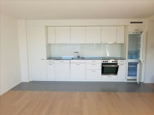 Appartement moderne de 2,5 pièces dans la nouvelle ville de Lucerne - Foto 1