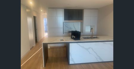 New with Luxury Super 2 bedroom apartment and living room, one step to Station and Chinatown - Photo 4