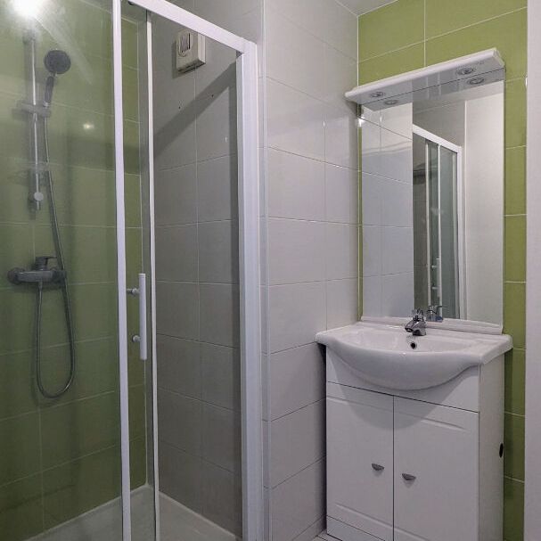 SAINTE LUCE SUR LOIRE - CENTRE VILLE - APPARTEMENT T1 33M² - Photo 1