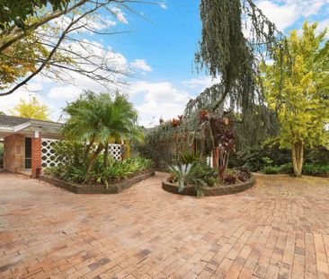 239 Peats Ferry Road, Hornsby NSW 2077 - House For Rent | Domain - Photo 2