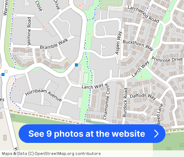 Tiger Flower Way, Red Lodge, BURY ST. EDMUNDS - Photo 1