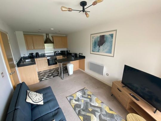 Neptune Apartments, Swansea, SA1 - Photo 1