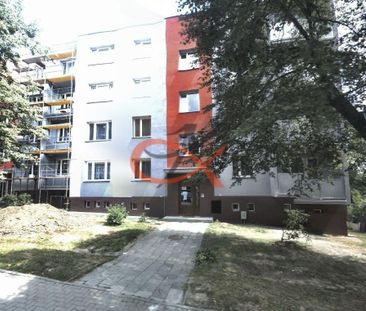 Pronájem bytu 2+1 54 m2 - Photo 3