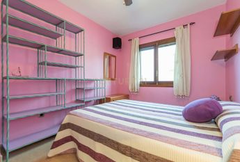 Alicante/Alacant, Valencian Community