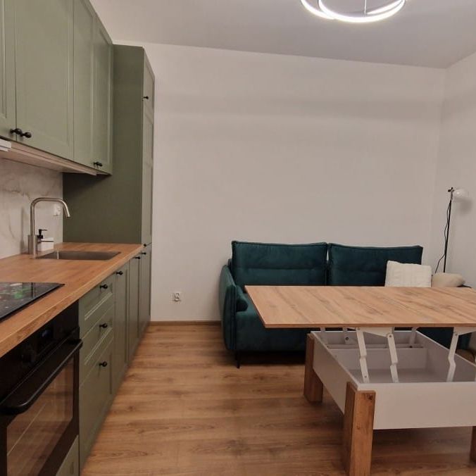 kompaktowa kawalerka /pierwszy najemca po remoncie 19.8 m² - Фото 1