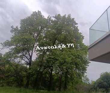 Μεζονέτα για ενοικίαση Κέντρο (Θέρμη) - Φωτογραφία 3