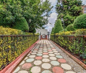 Renta departamento amueblado en Cuajimalpa con jardín común - Photo 1