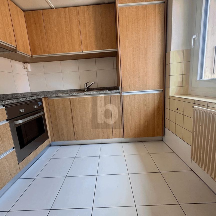 PLUS DISPO - Photo 1