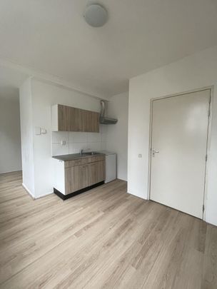 Te huur: Studio Elsweg in Apeldoorn - Photo 1