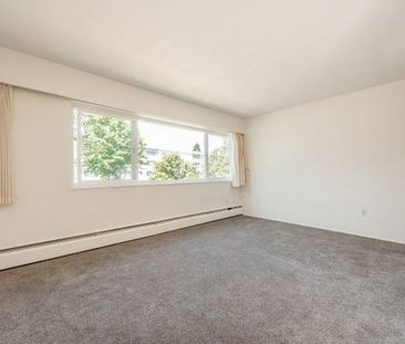 Firwood Apartments - 1 Bedroom - Available Now - Photo 2