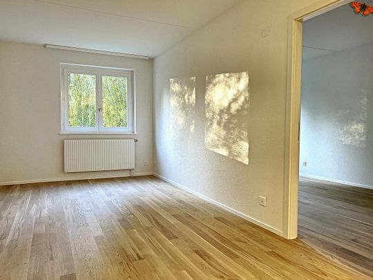 2 ½ PIECES - Au calme et proche des commodités ! - Photo 1