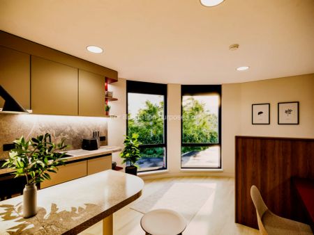 Large Premium Studio - Photo 2