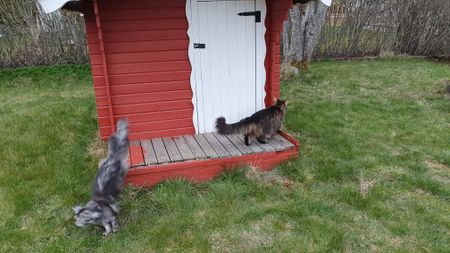 Östra Vasagatan, Skillingaryd - Photo 5