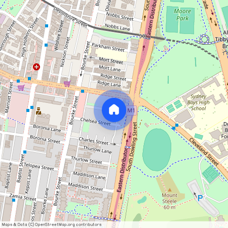 7 Little Cleveland Street, NSW 2016, Redfern