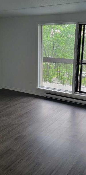 Très Bel Appartement Studio à Louer - Une Personne - Boulevard des Sources - DDO; Aussi 3 1/2, 4 1/2 - Photo 1
