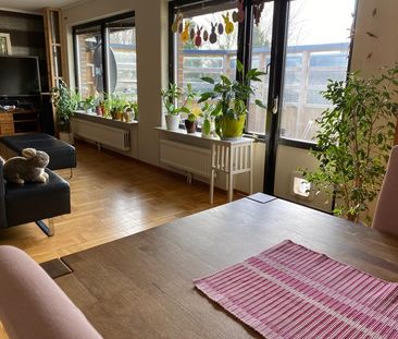 Nypongatan, Lomma - Foto 2