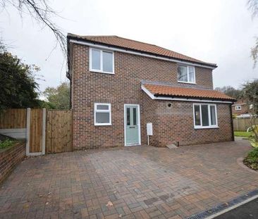 Denton Road, Norwich, NR3 - Photo 3