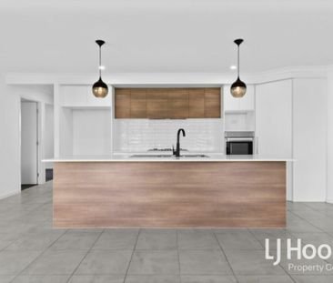 Exceptional Locale - Ideal Family Home - Space Inside & Out! - Photo 4