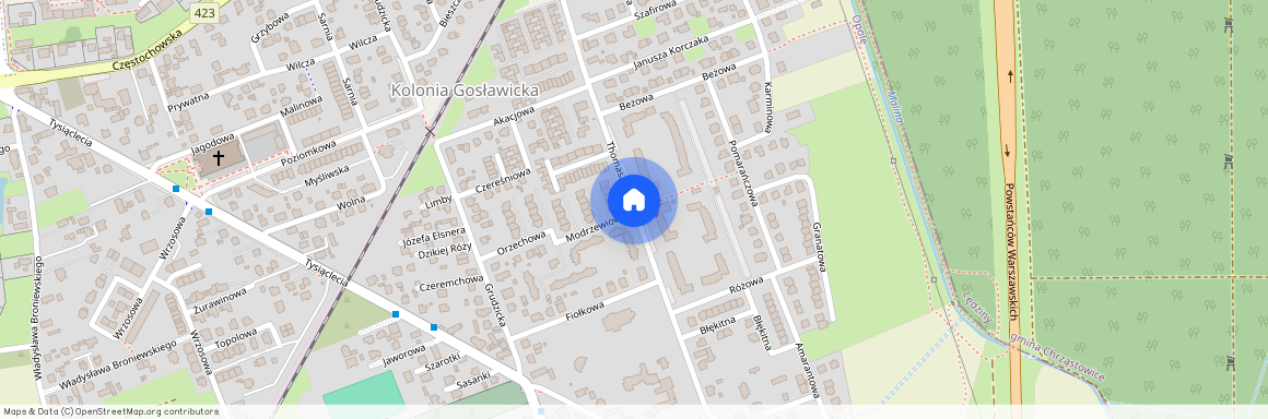 ul. Thomasa Wilsona, Kolonia Gosławicka, Opole, opolskie