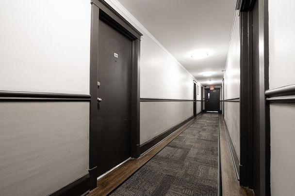 56 Maitland Street - Photo 1
