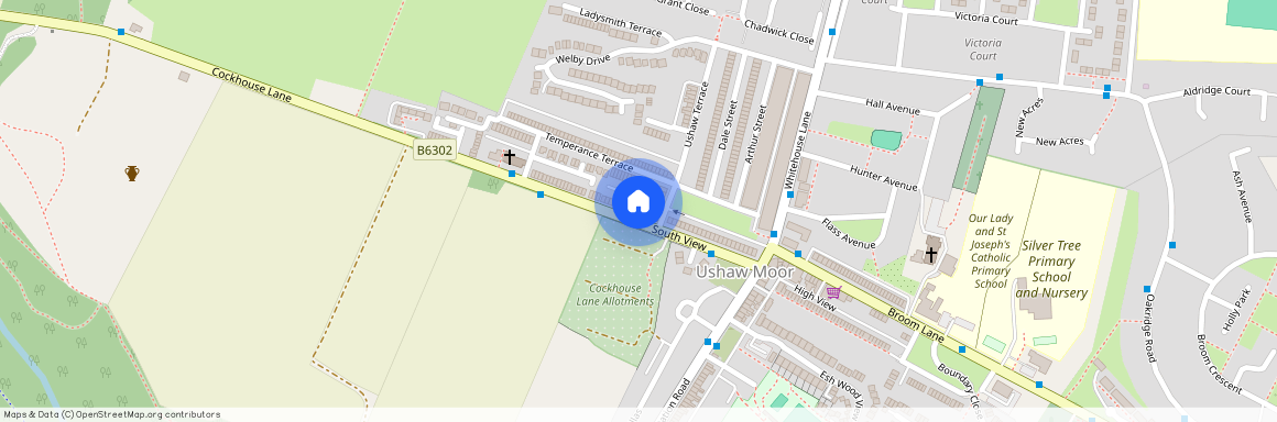 South View, Ushaw Moor, DH7 7PS