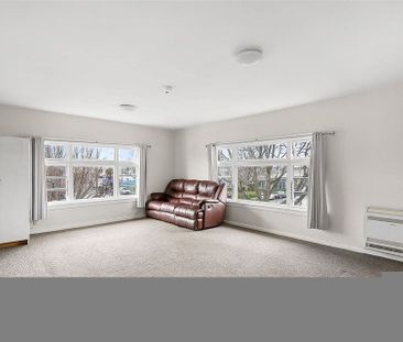 Large 4 Bedroom Central Christchurch Haven! - Photo 6