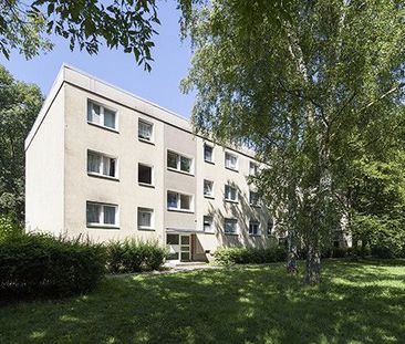 ﻿Schöne 3-Zimmer-Wohnung mit Balkon in Hanau-Großauheim zu vermieten - Photo 4