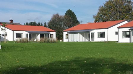 Lejongatan 13A - Foto 5