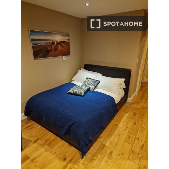 Studio apartment in Dublin - Photo 1