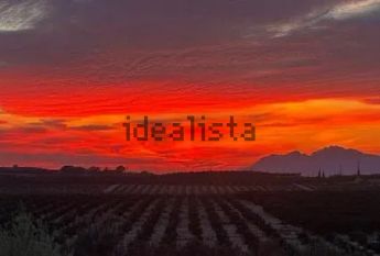 Alquiler de piso en Calle Comunidad Valenciana, 30