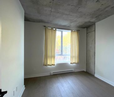 5605 Av. Pierre De Coubertin Montréal (Mercier, QC H1N - Photo 3
