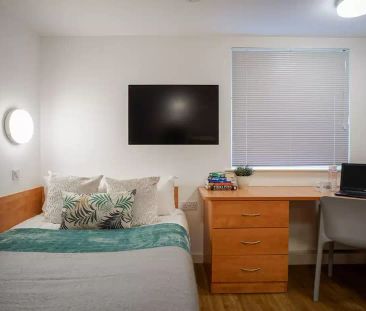 Silver Studio - Photo 6