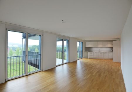 New construction Ankenbüel: Cozy and sunny apartment! - Photo 2