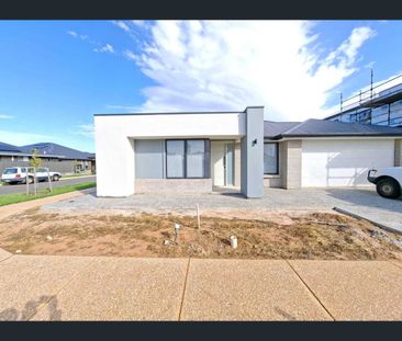 8 Phoenix Avenue, Riverlea Park, SA 5120 - Photo 2