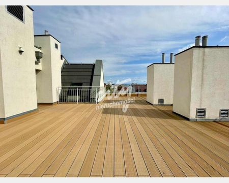 Szczecin - Zdjęcie 4