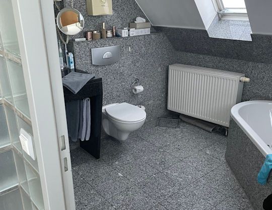 Möblierte Wohnung mit traumhaftem Rheinblick - Foto 1