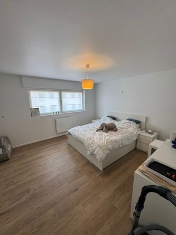 Ruime woning met drie slaapkamers, tuin en garage. - Photo 4