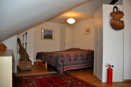 3½ ZIMMER-LOFT IN ZIZERS (GR), MÖBLIERT, TEMPORÄR - Foto 4