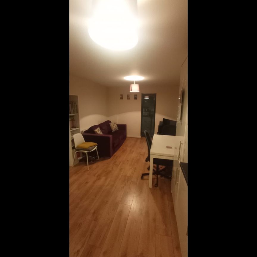 1 Bed Flat, Watery Street, S3 - Photo 1