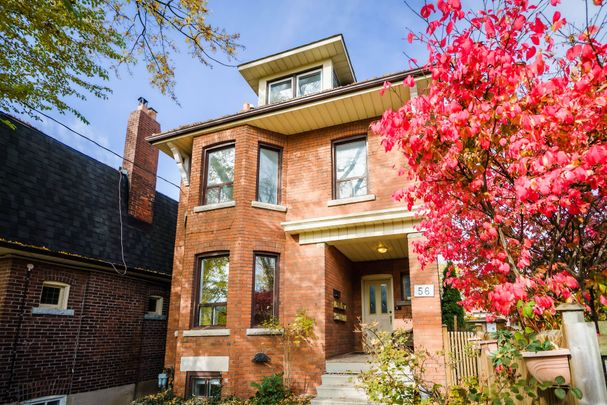 For Lease - 56 Edna Avenue Unit# Basement A, Toronto, Ontario - Photo 1