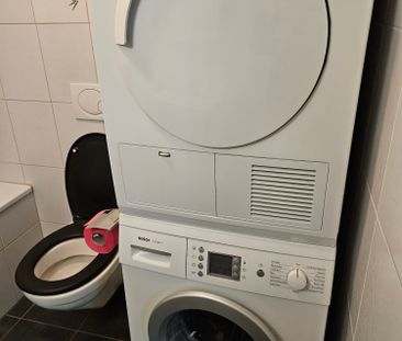 1-Zimmer-Wohnung in Fischenthal - Photo 3